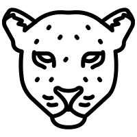 Duy Vo Logo